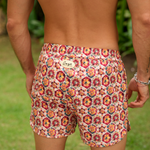 Immagine diapositiva