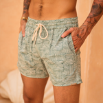 Immagine diapositiva
